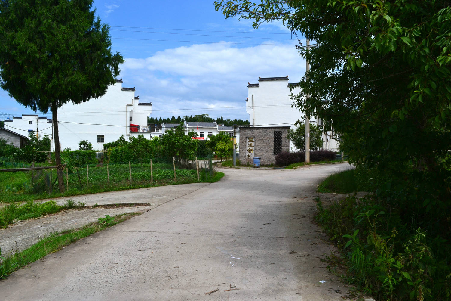 DSC_6779.JPG