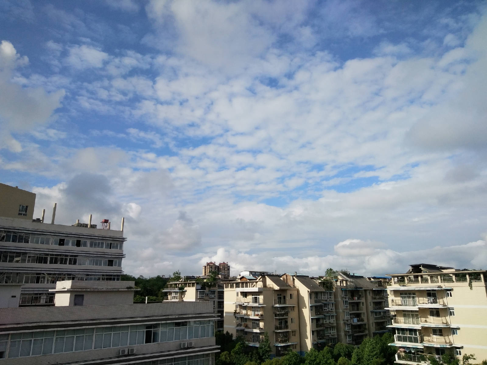 IMG_20180620_173151.jpg
