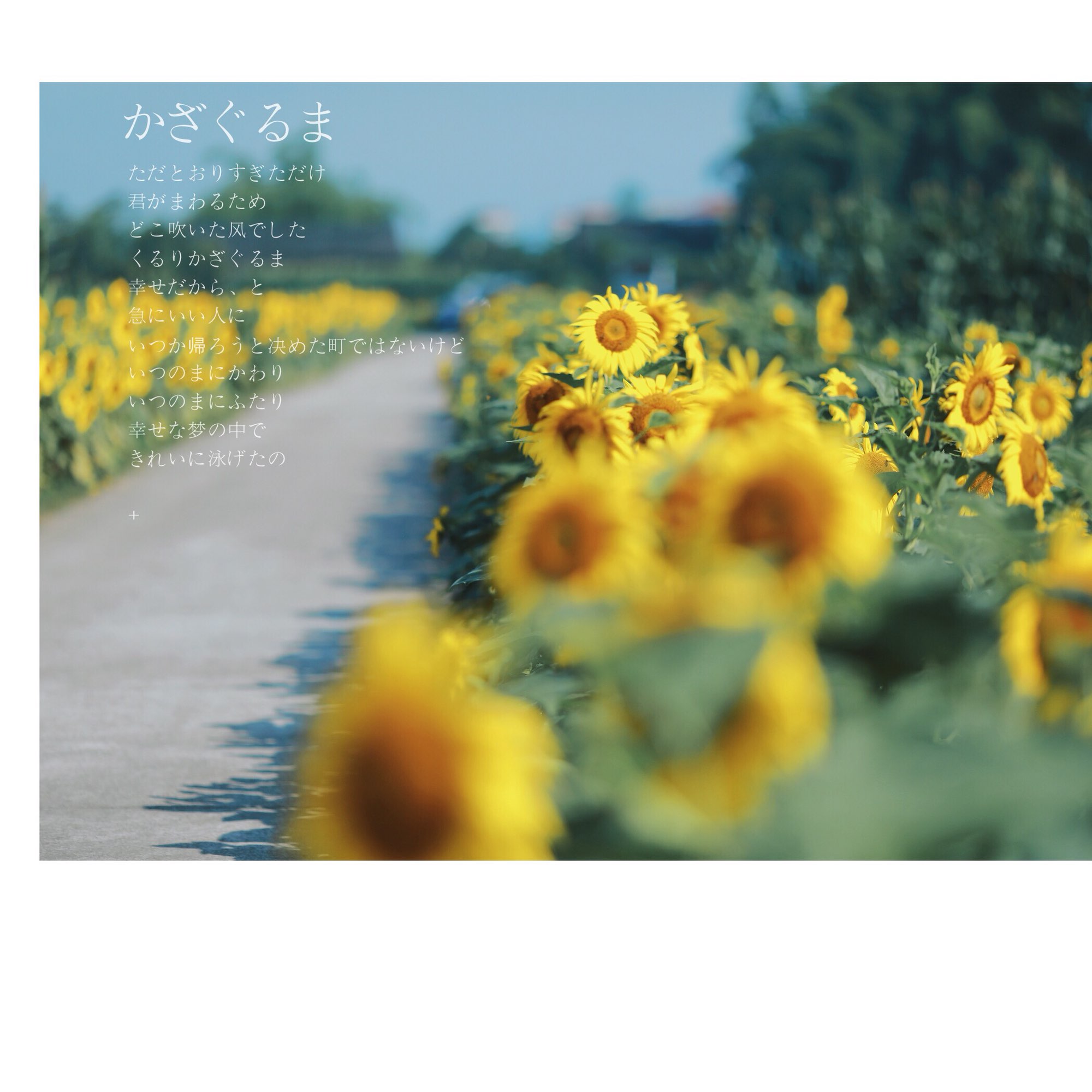 20180620224750.jpeg