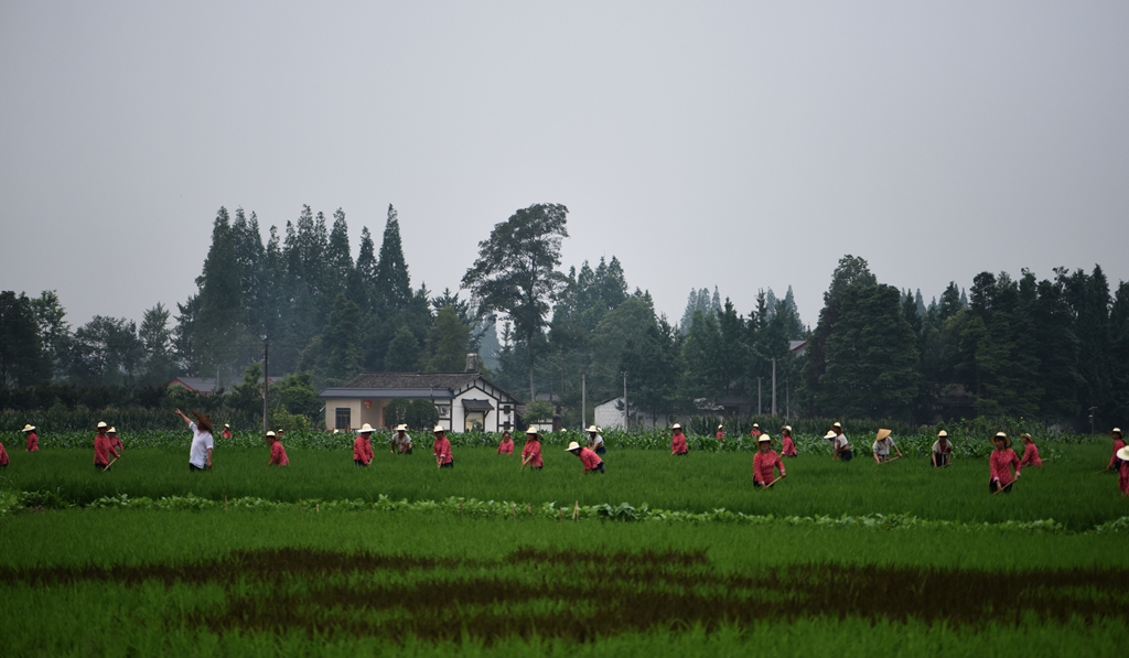DSC_4486.jpg