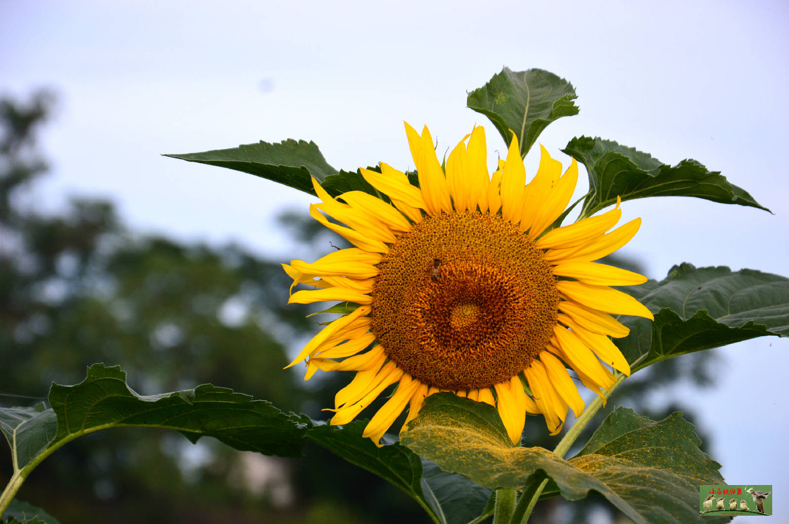 DSC_0004.JPG