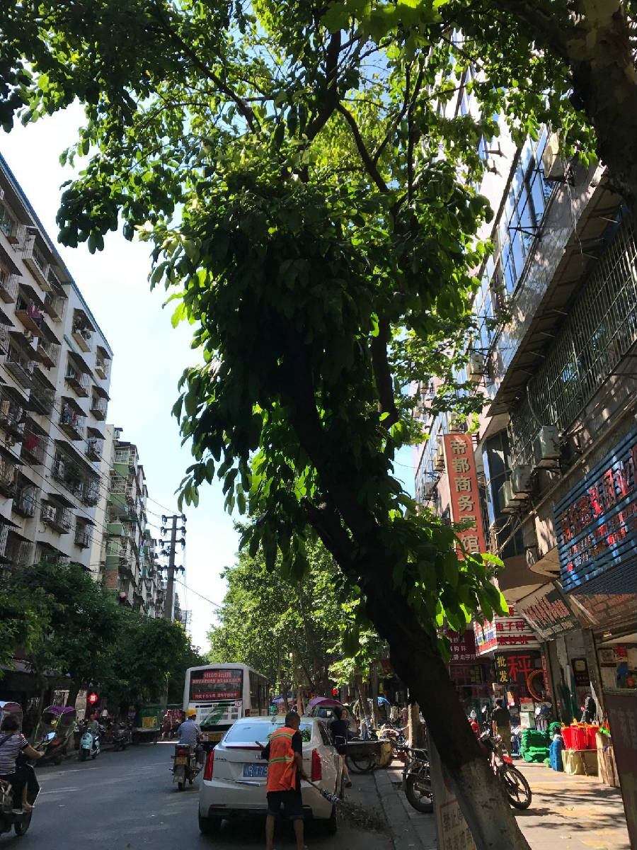 QQ图片20180625213510.jpg