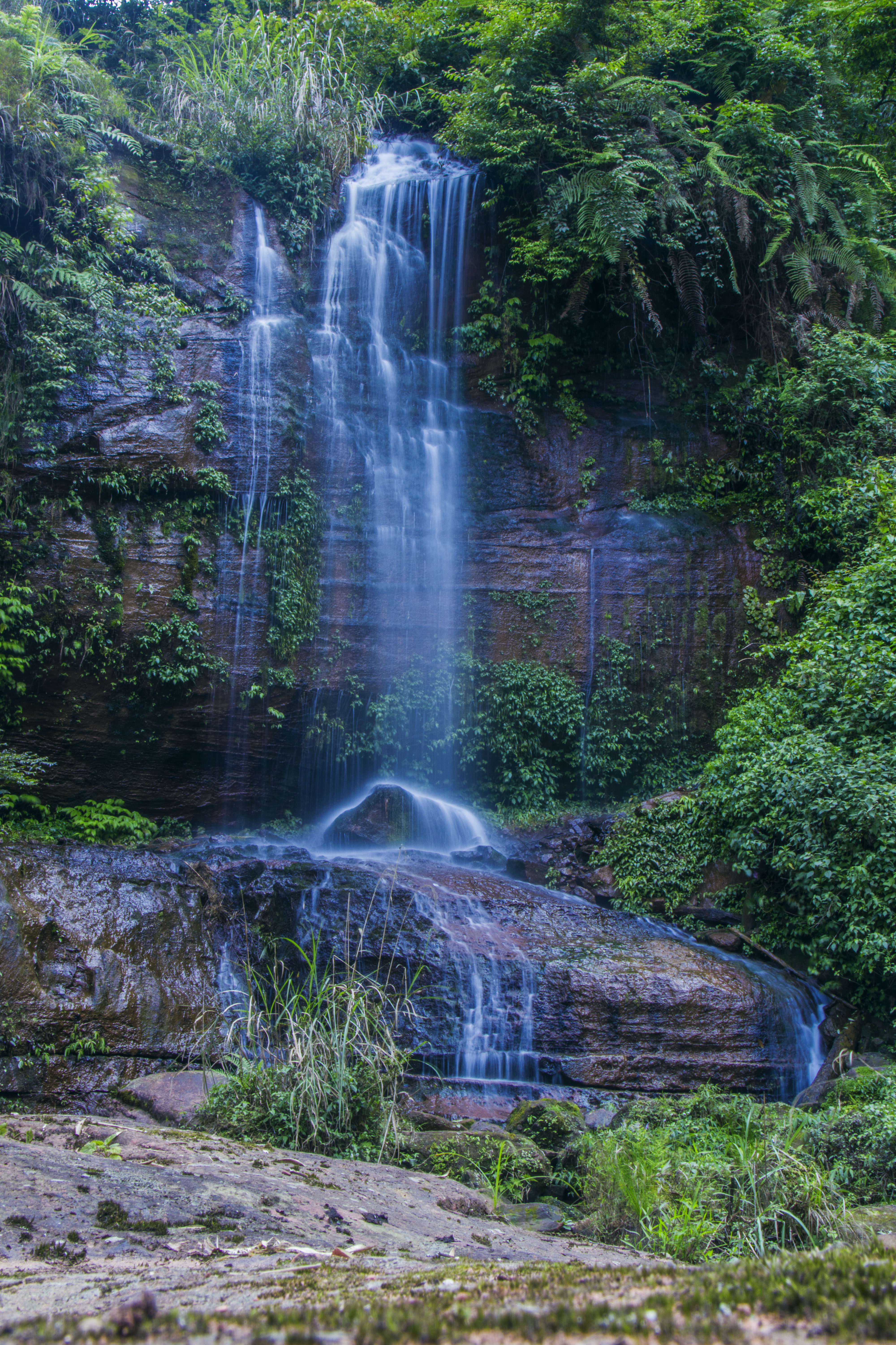 合江福宝玉兰山风景区图片