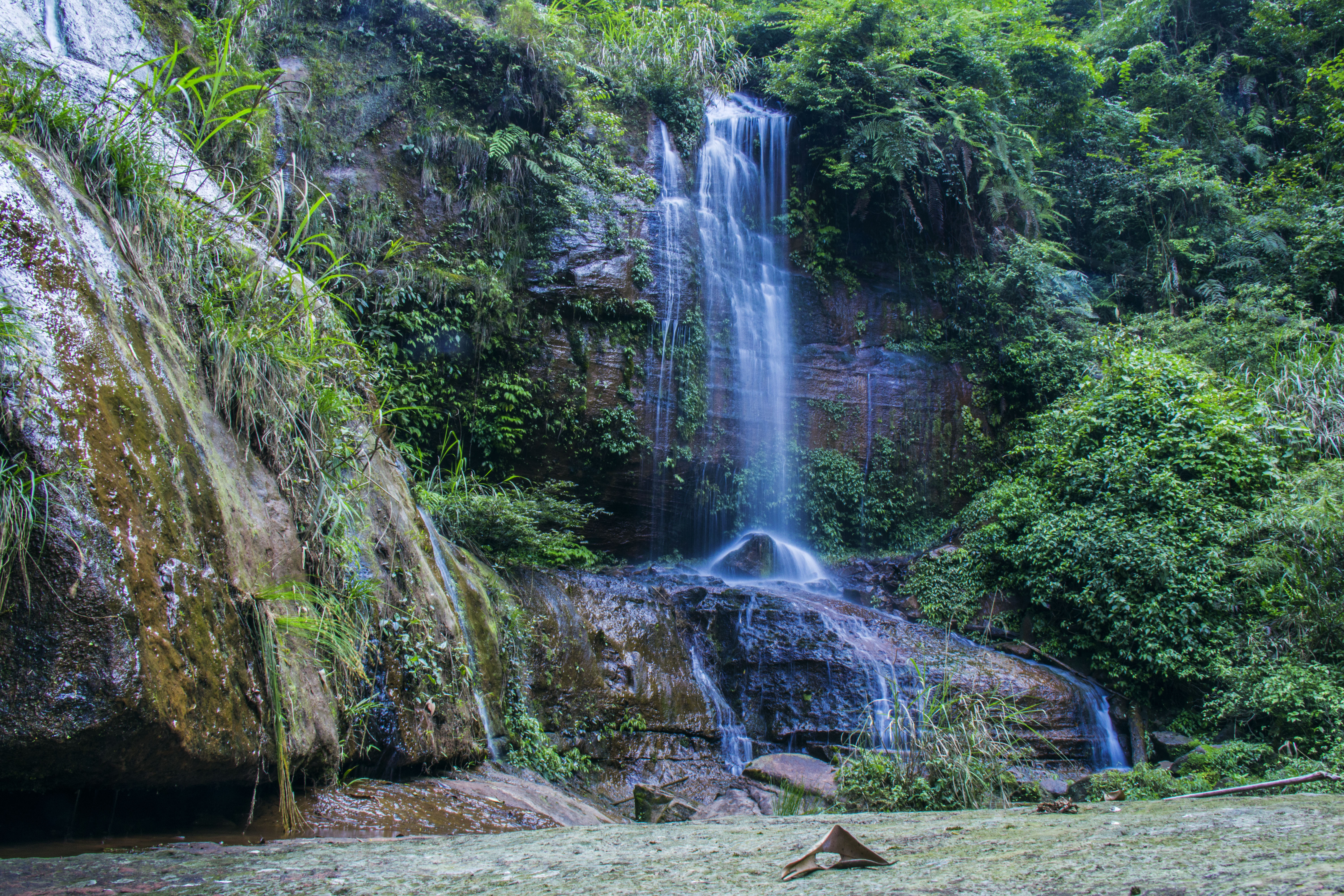 合江福宝玉兰山风景区图片