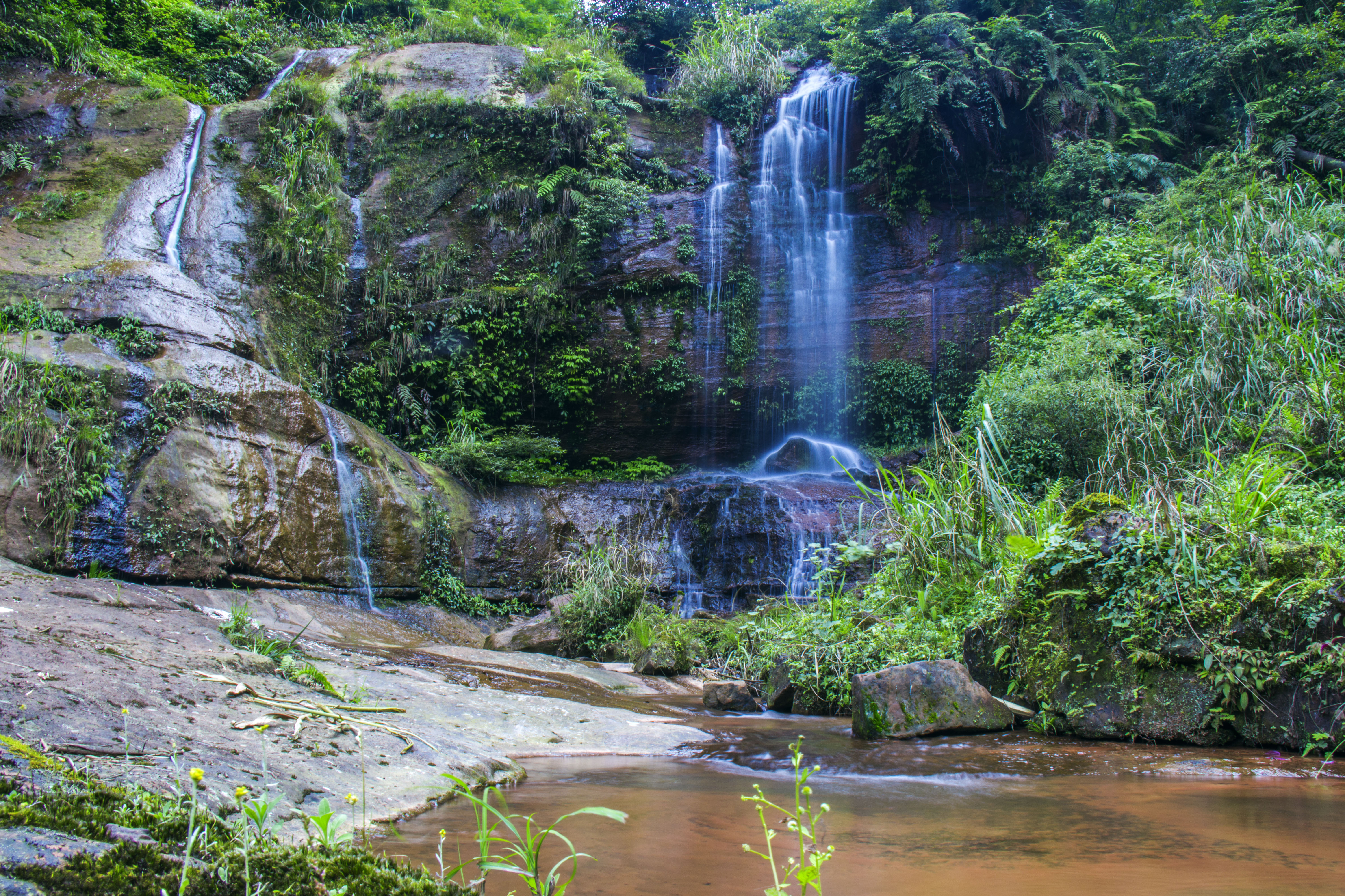 合江福宝玉兰山风景区图片