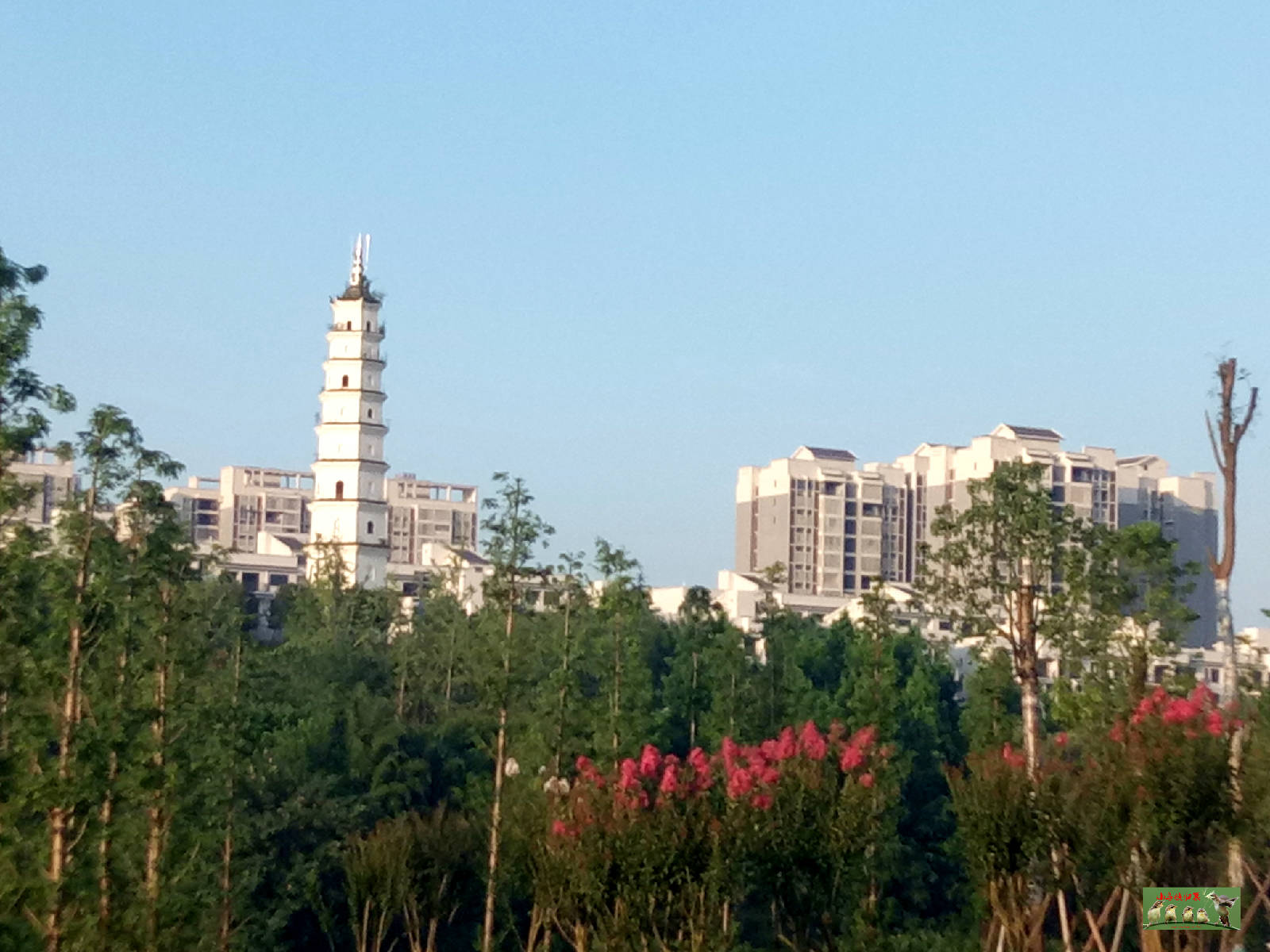 微信图片_20180627072914.jpg