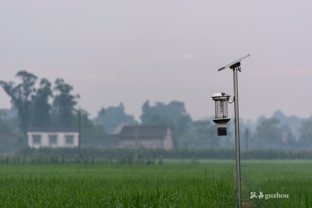 DSC_3752.jpg