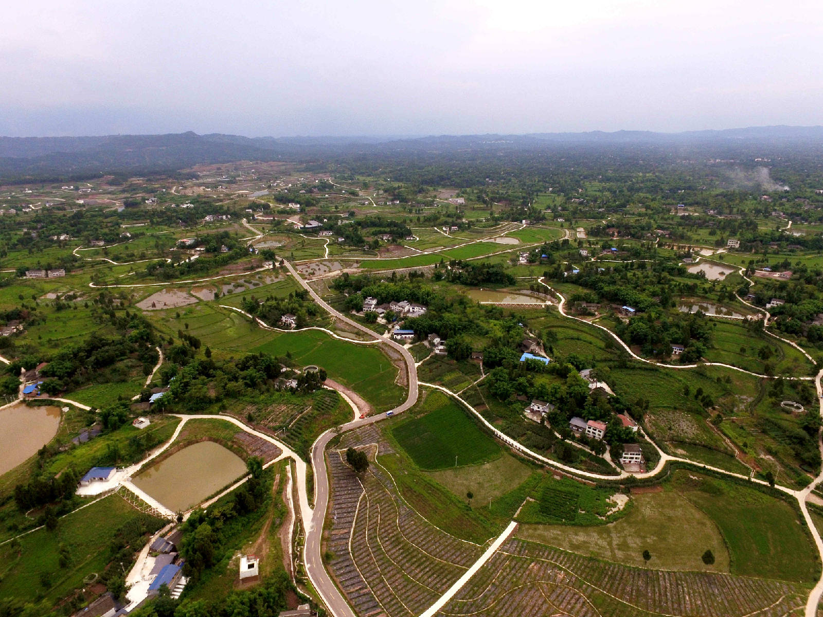 DJI_0257_副本.jpg