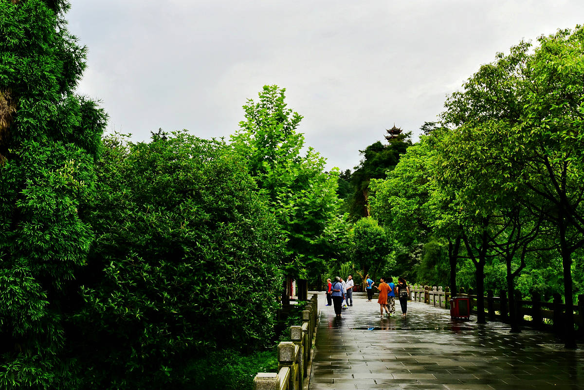 DSC_1856_conew1_副本.jpg