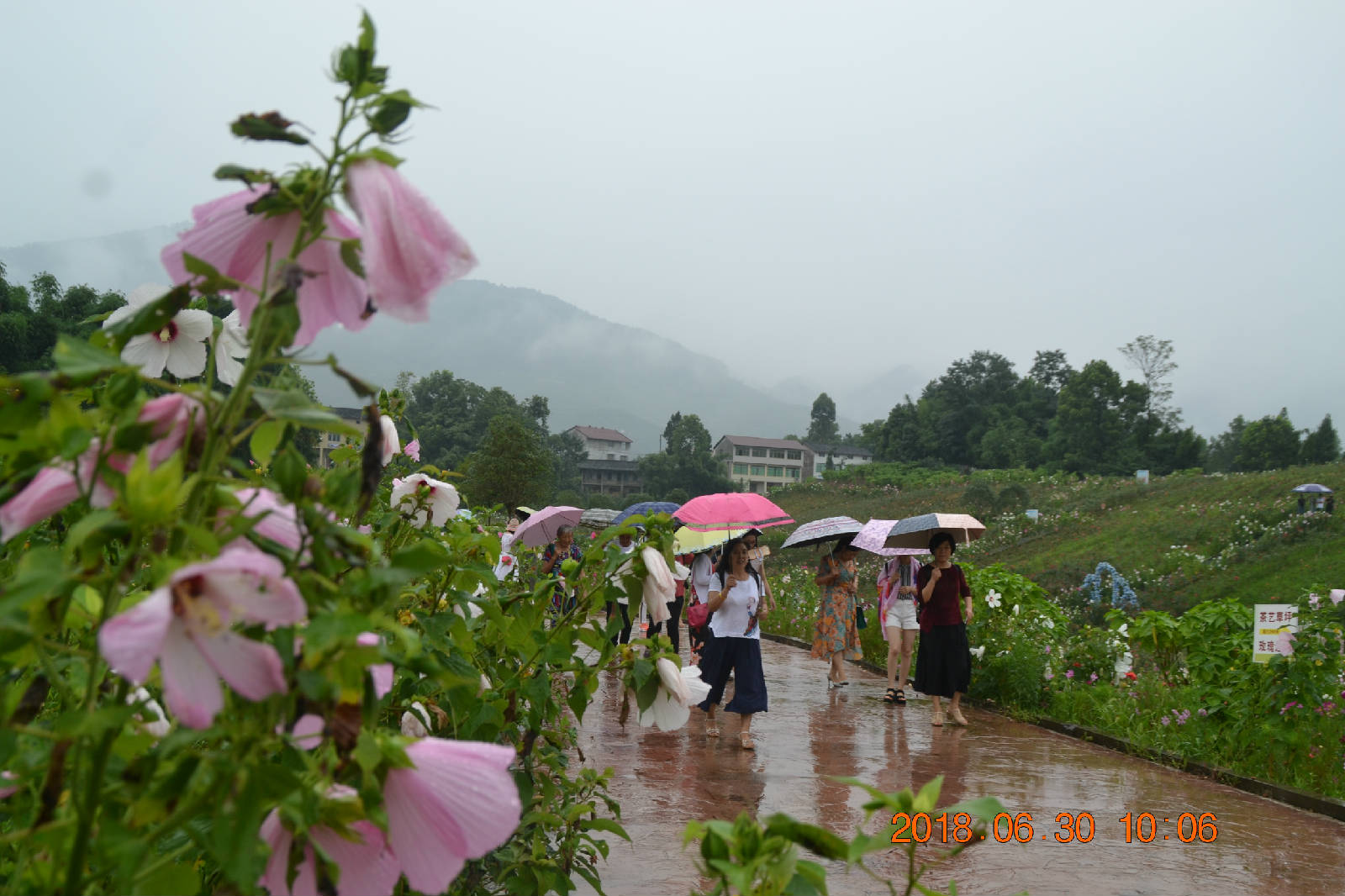 DSC_0294.JPG