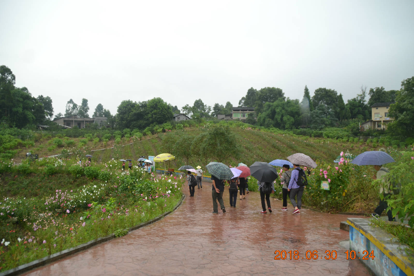 DSC_0307.JPG