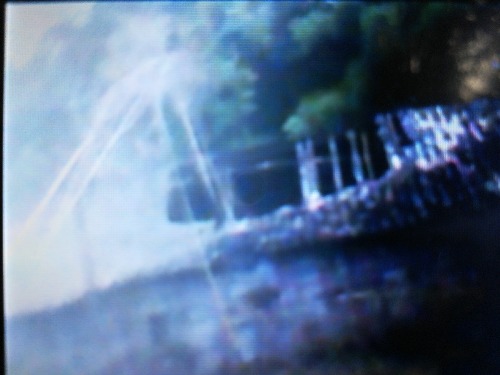 1530745065878.jpg