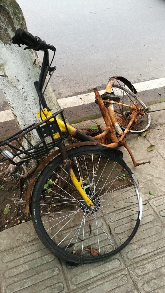 IMG_20180705_175734.jpg