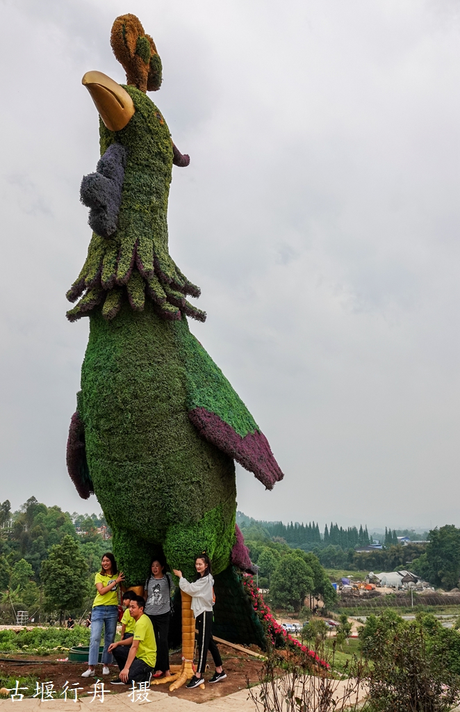 天马玫瑰花溪谷掠