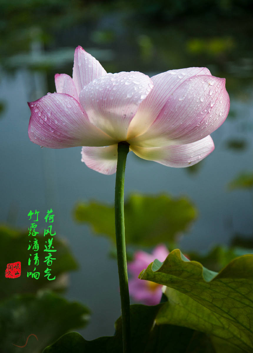 085A1916_副本.jpg
