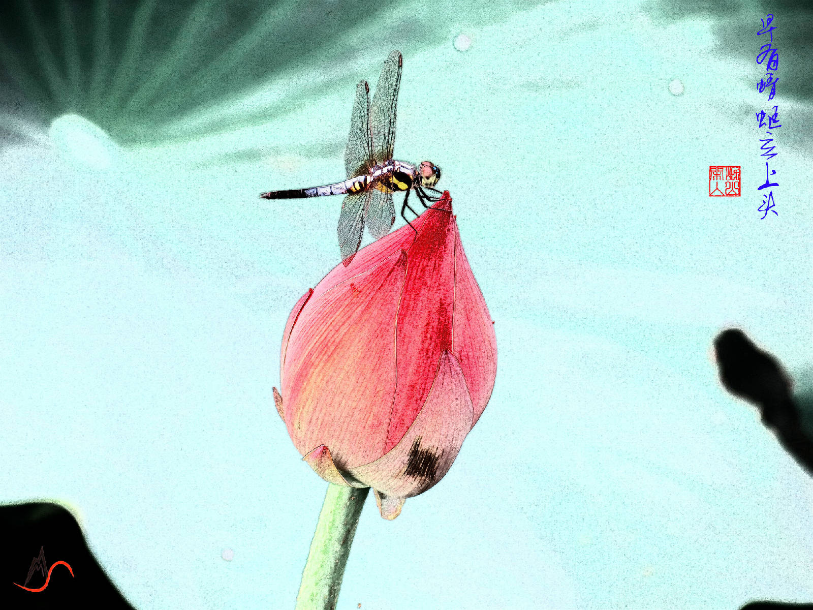 早有蜻蜓立上