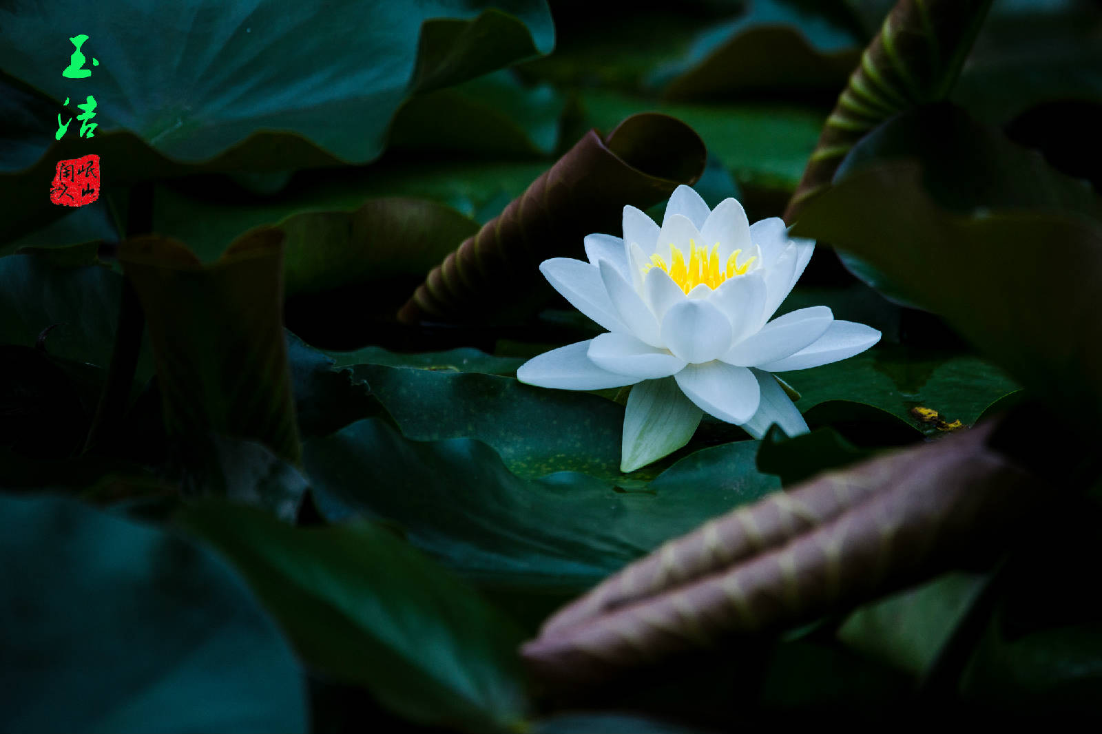 085A2854_副本.jpg