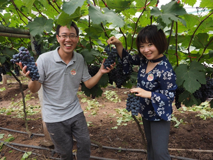 麻辣社区2018买遍四川龙泉驿水蜜桃采摘体验