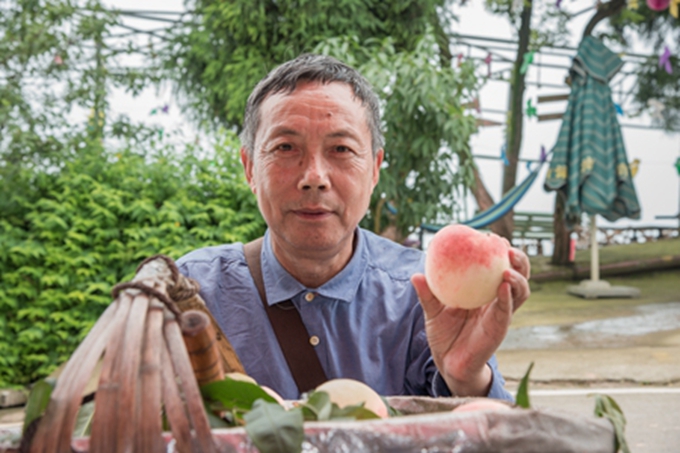 麻辣社区2018买遍四川龙泉驿水蜜桃采摘体验