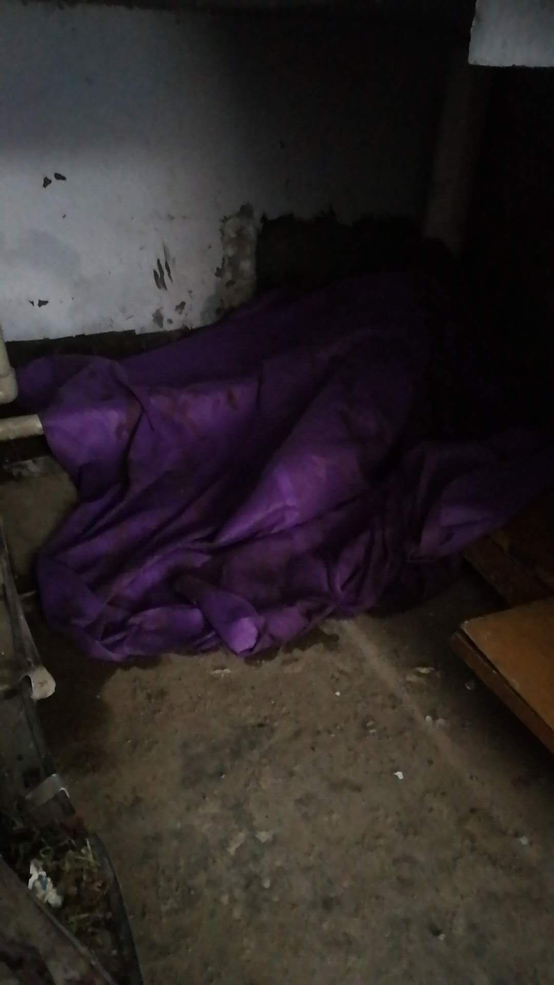 QQͼƬ20180712152840.jpg