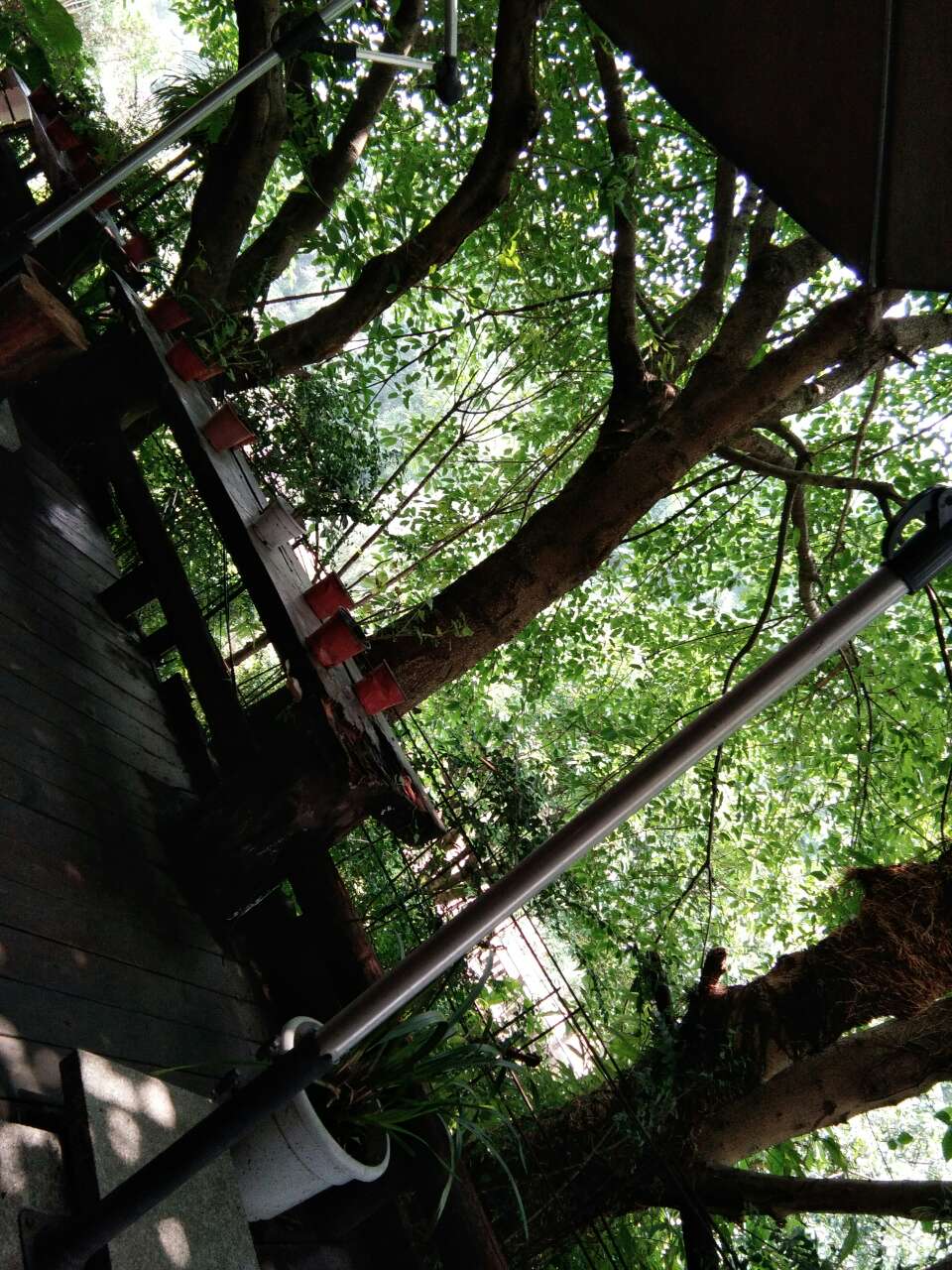 20180714_7481206_1531548566857.jpg