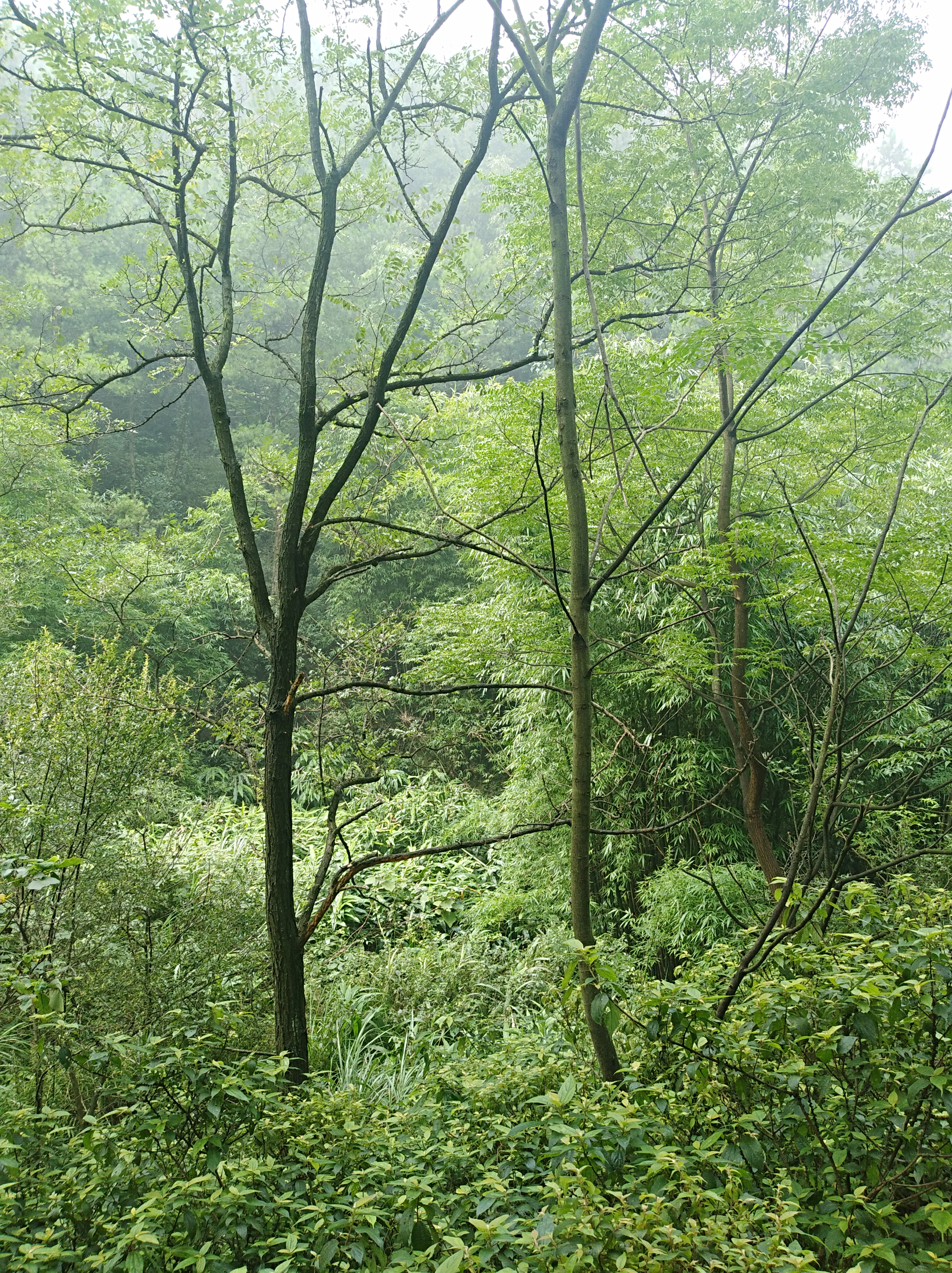 ΢ͼƬ_201807151008512.jpg
