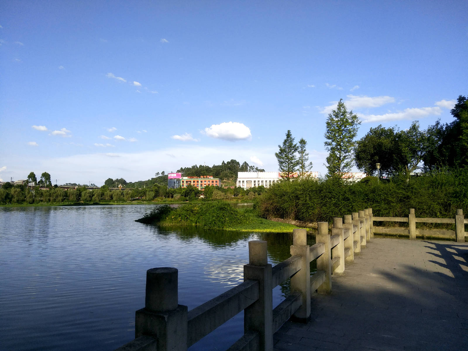 ����Ȩ�ֻ�������