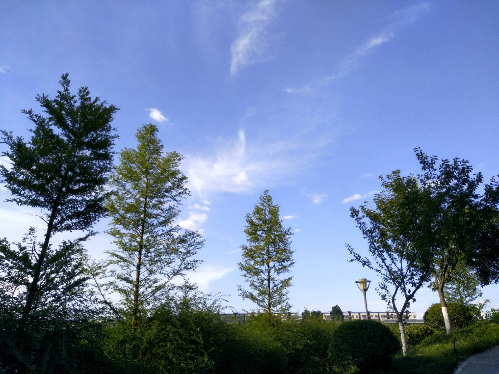 ����Ȩ�ֻ�������