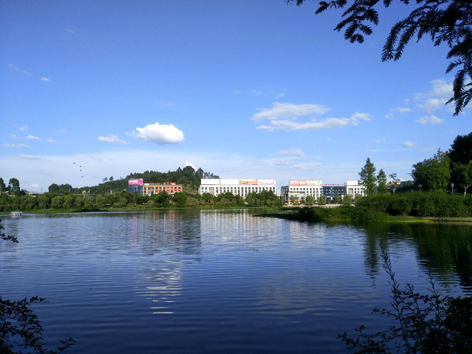 ����Ȩ�ֻ�������