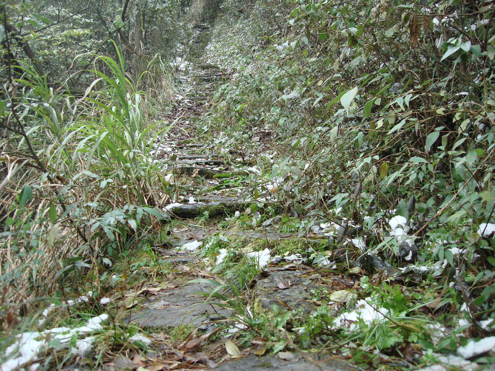 DSC00298.JPG