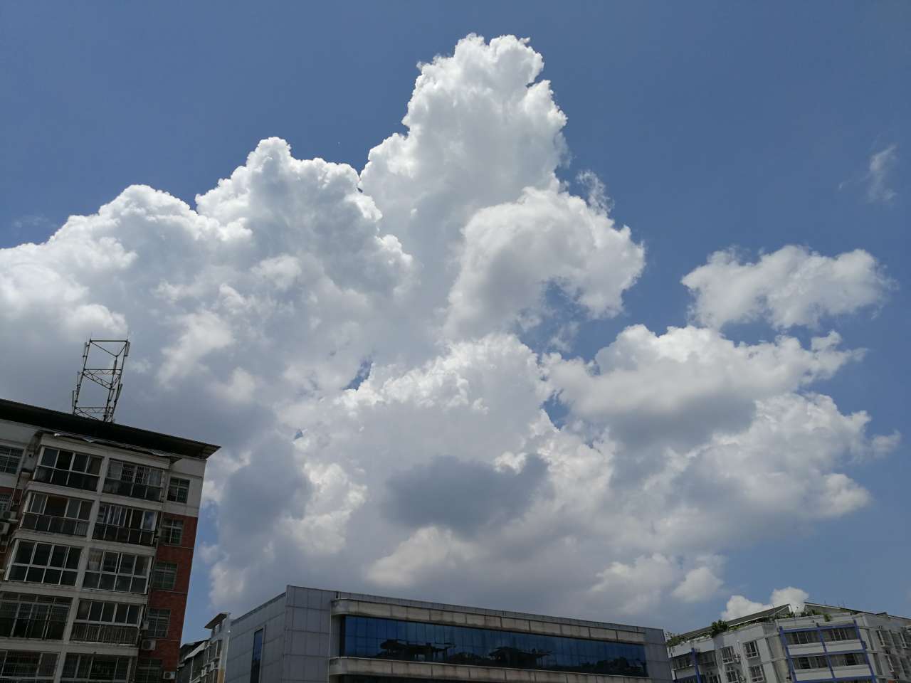 20180717_1348414_1531785872095.jpg