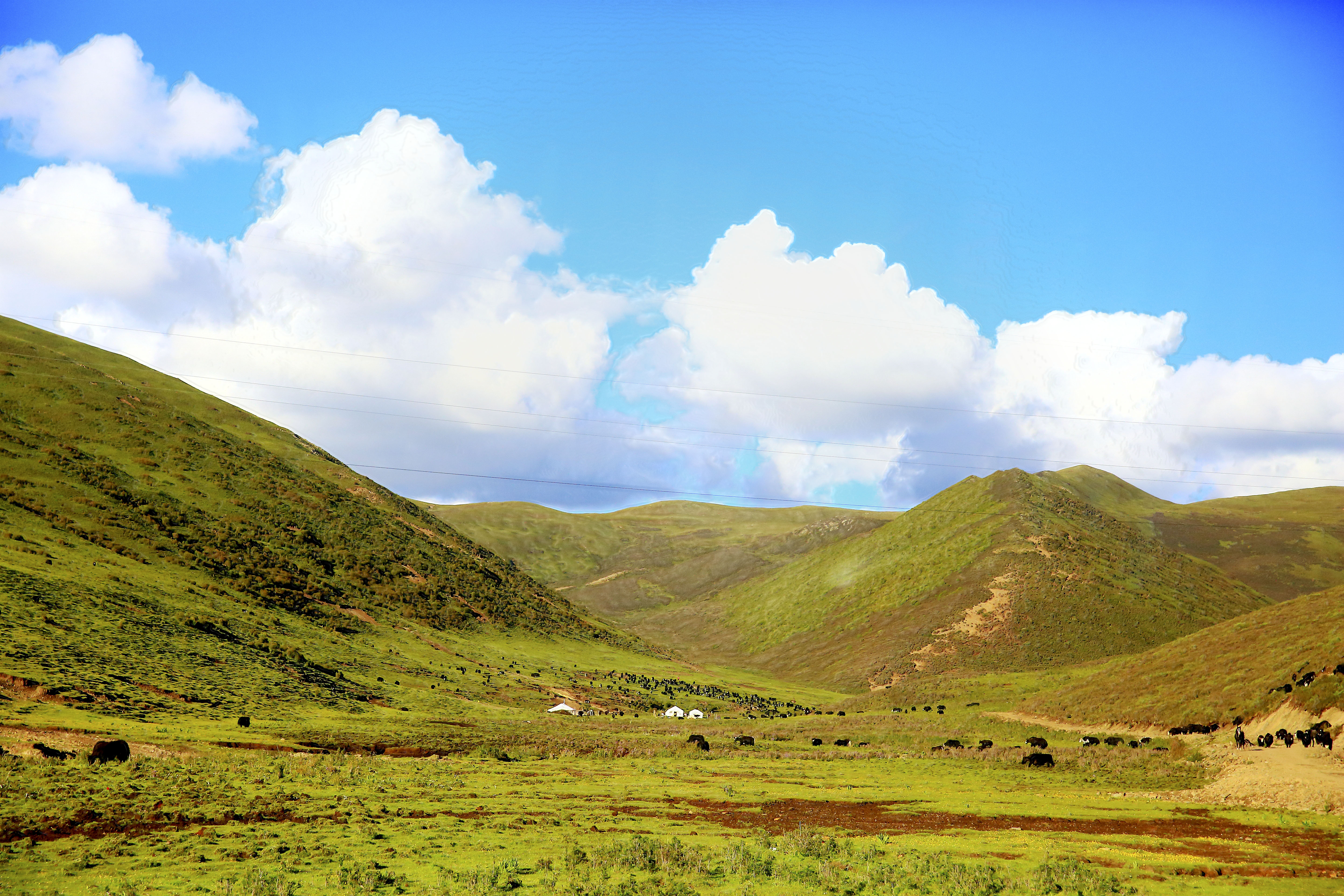 富川沙洲村大草原图片