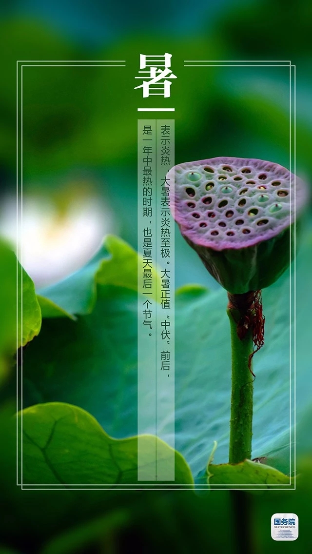 mmexport1532307273110.jpg