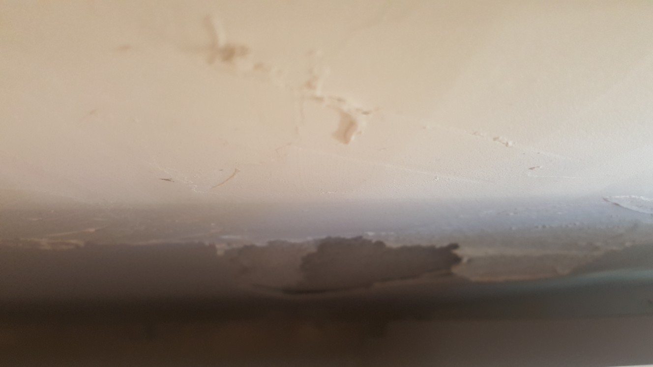 20180724_182559.jpg