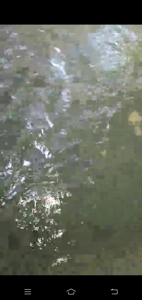 Screenshot_20180725_110545.jpg