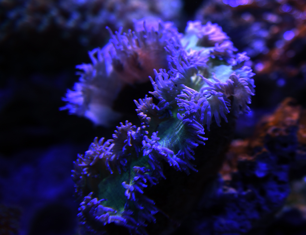 FXN_2364.JPG