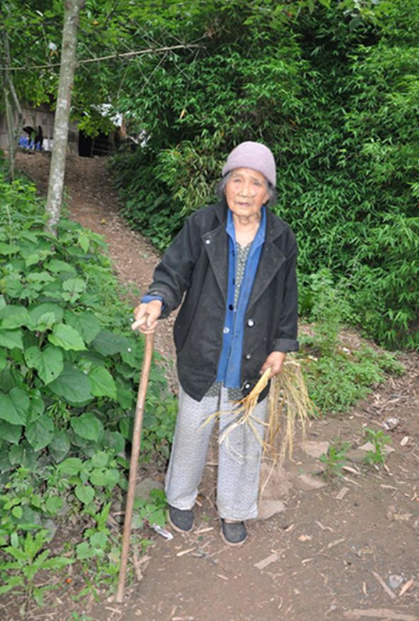 135650azrvhshuwwobrn9m_副本.jpg