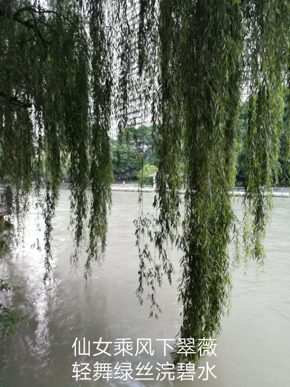 20180727_6080161_1532650117733.png
