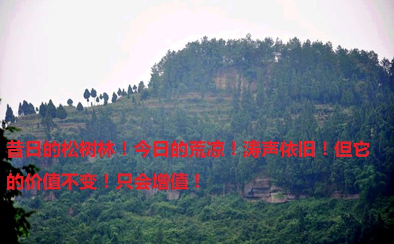 200906lvvn5uynwuu6p5vv.jpg