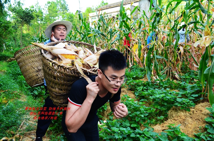 DSC_0929 ����������׵�פ���Ա.JPG