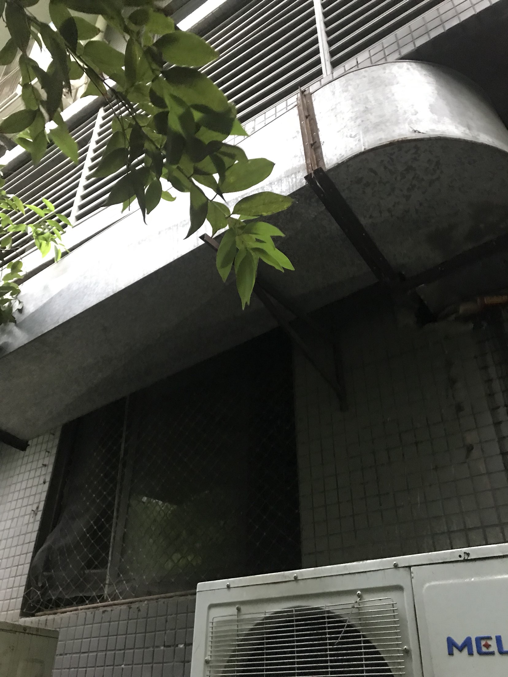 20180728175606.jpeg