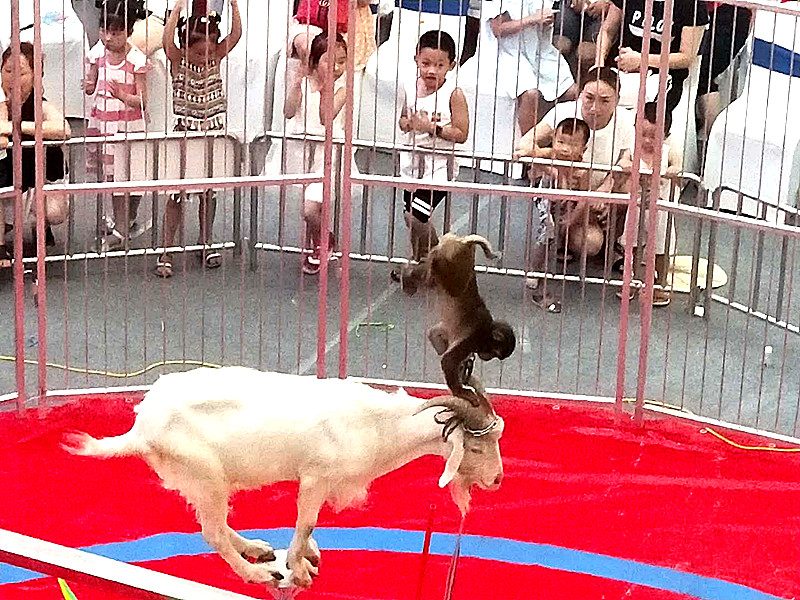 微信图片_20180728212656_副本.jpg
