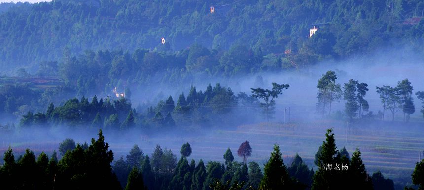 DSC_3206_副本.jpg