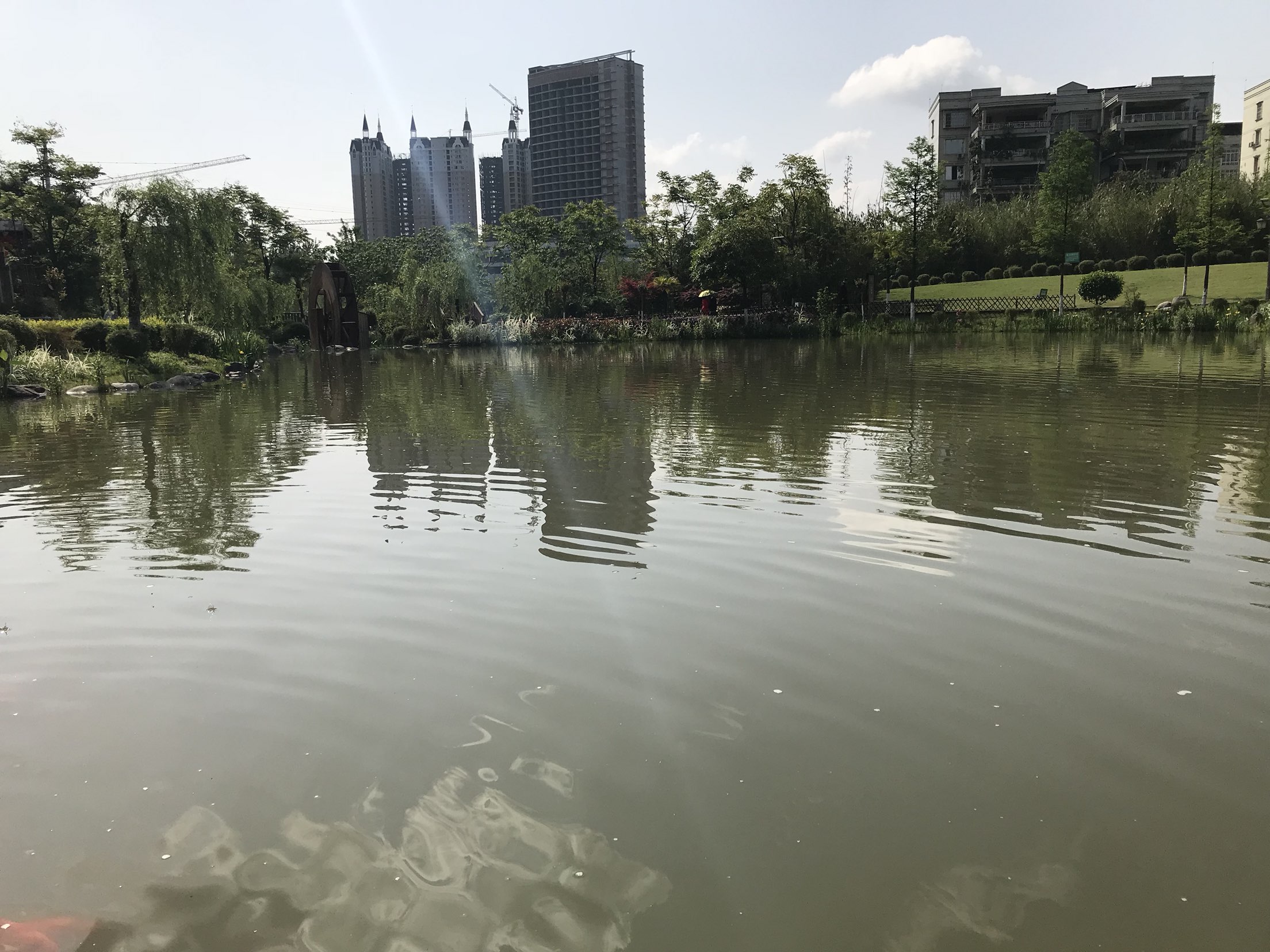 20180802071225.jpeg