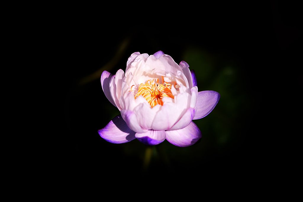 DSC_8593.jpg