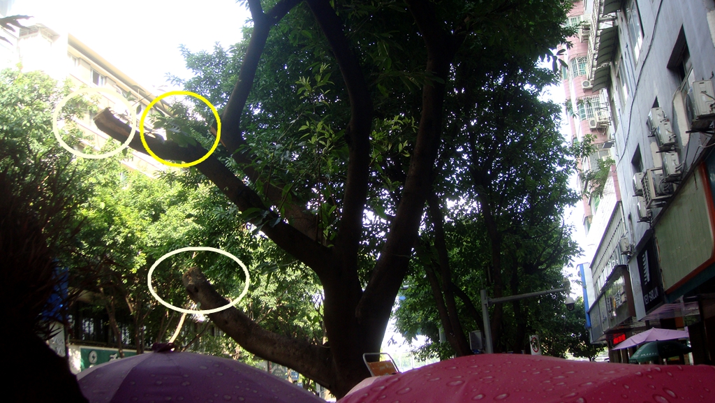 DSC07028_副本_副本.jpg