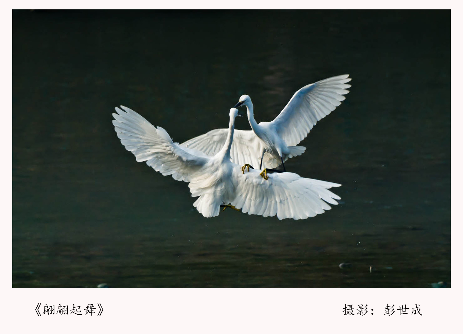 无声的人 (9).jpg