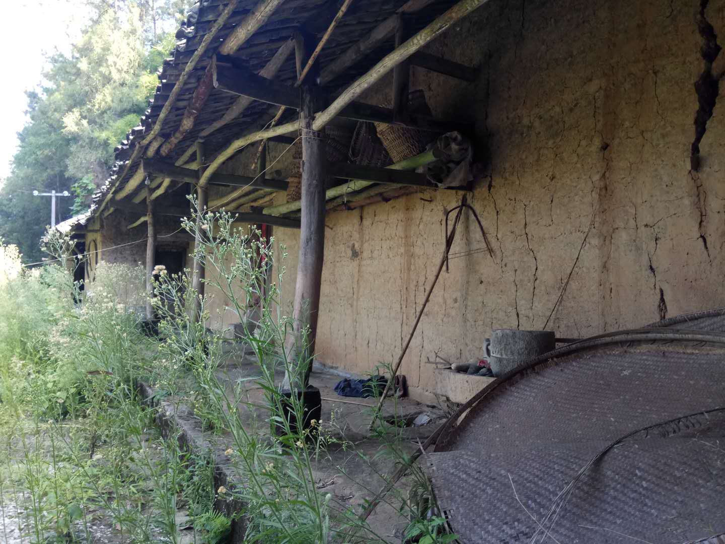 20180815141831.jpeg