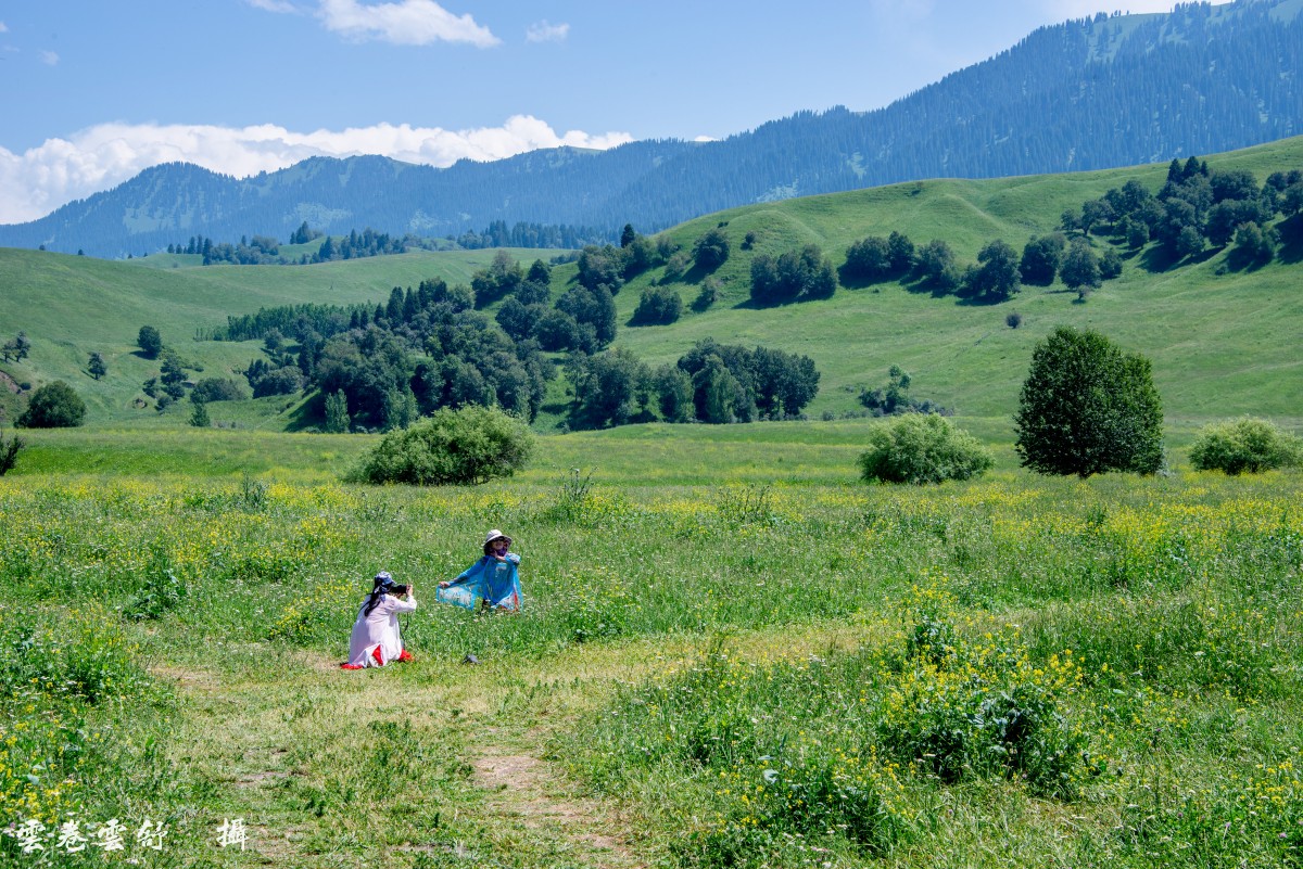 conew__dsc6809.jpg