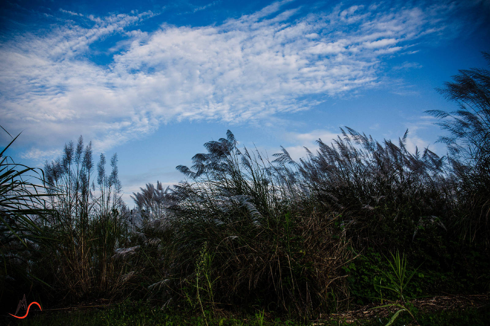 085A3492_副本.jpg